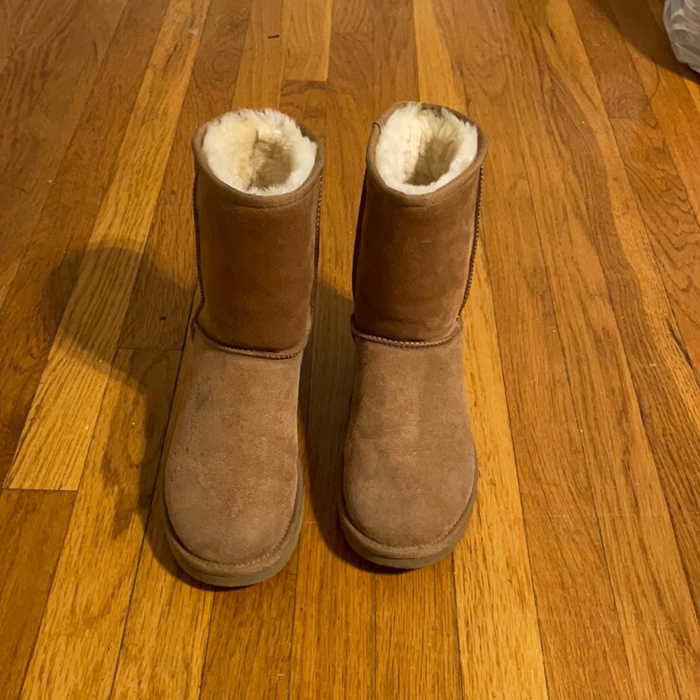 Chestnut Uggs